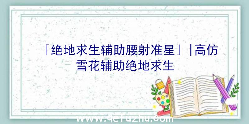 「绝地求生辅助腰射准星」|高仿雪花辅助绝地求生